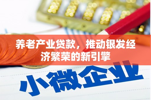新沂养老产业贷款，推动银发经济繁荣的新引擎