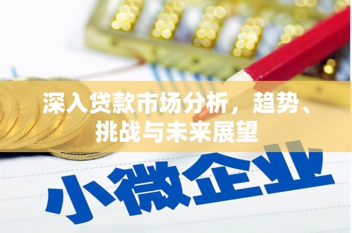 新沂深入贷款市场分析，趋势、挑战与未来展望