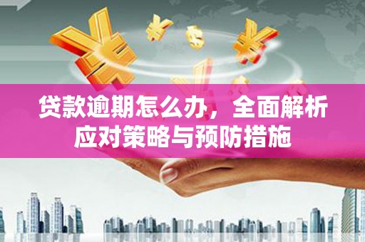 新沂贷款逾期怎么办，全面解析应对策略与预防措施