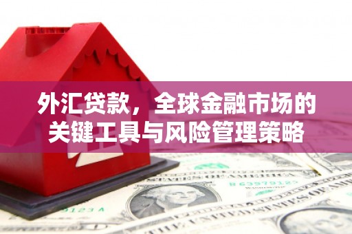 新沂外汇贷款，全球金融市场的关键工具与风险管理策略