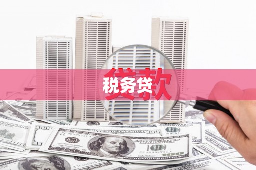 新沂税务贷