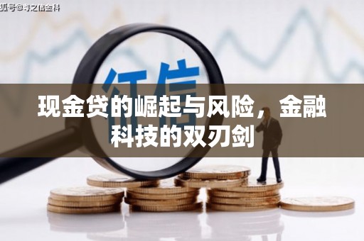 新沂现金贷的崛起与风险，金融科技的双刃剑