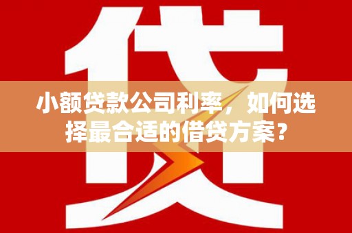 新沂小额贷款公司利率，如何选择最合适的借贷方案？