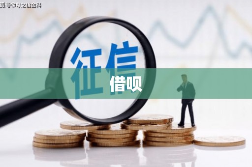 新沂借呗