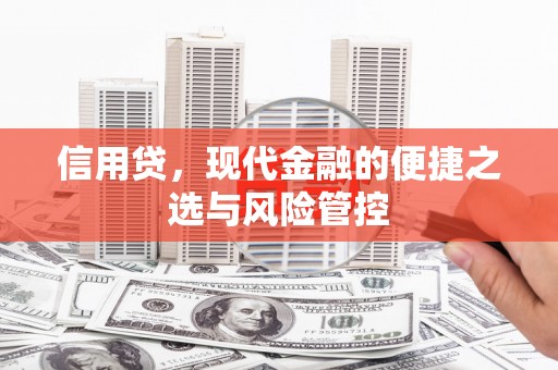 新沂信用贷，现代金融的便捷之选与风险管控