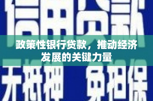 新沂政策性银行贷款，推动经济发展的关键力量
