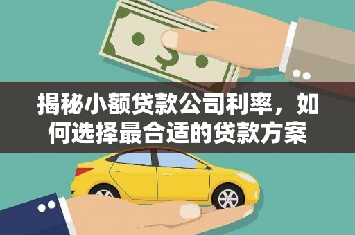 新沂揭秘小额贷款公司利率，如何选择最合适的贷款方案