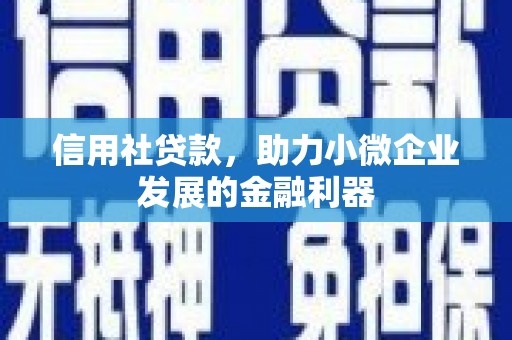 新沂信用社贷款，助力小微企业发展的金融利器