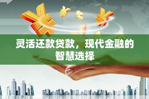 新沂灵活还款贷款，现代金融的智慧选择