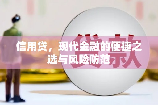 新沂信用贷，现代金融的便捷之选与风险防范