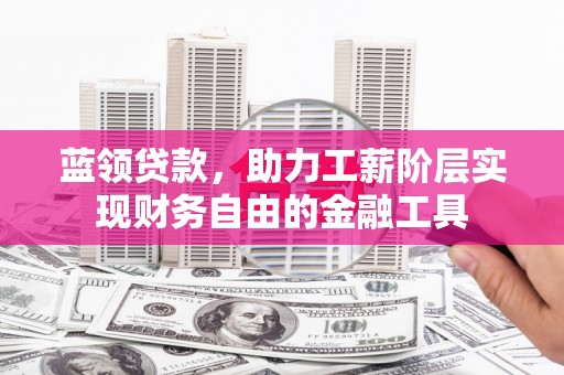 新沂蓝领贷款，助力工薪阶层实现财务自由的金融工具