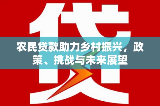 新沂农民贷款助力乡村振兴，政策、挑战与未来展望