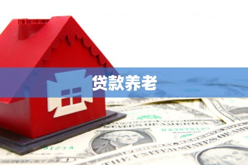 新沂贷款养老