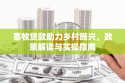 新沂畜牧贷款助力乡村振兴，政策解读与实操指南
