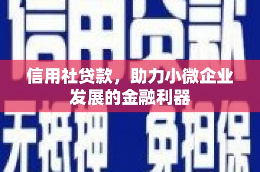 新沂信用社贷款，助力小微企业发展的金融利器