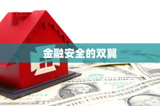 新沂金融安全的双翼
