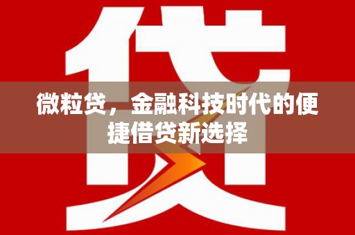 新沂微粒贷，金融科技时代的便捷借贷新选择