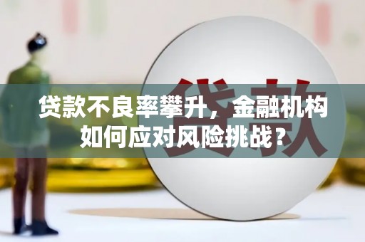 新沂贷款不良率攀升，金融机构如何应对风险挑战？