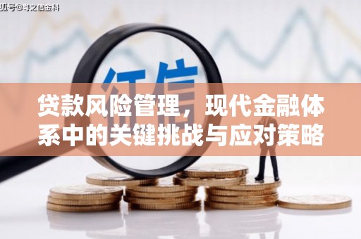 新沂贷款风险管理，现代金融体系中的关键挑战与应对策略