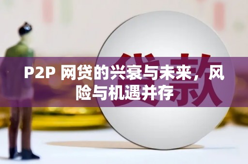 新沂P2P 网贷的兴衰与未来，风险与机遇并存