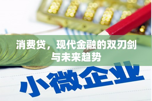 新沂消费贷，现代金融的双刃剑与未来趋势