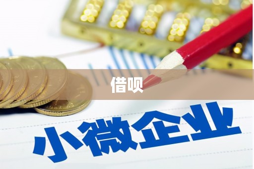 新沂借呗