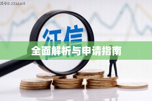 新沂全面解析与申请指南