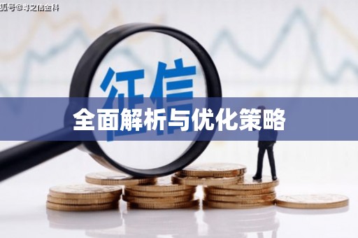 新沂全面解析与优化策略